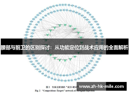腰部与前卫的区别探讨：从功能定位到战术应用的全面解析