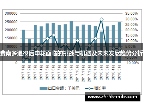 费南多退役后申花面临的挑战与机遇及未来发展趋势分析